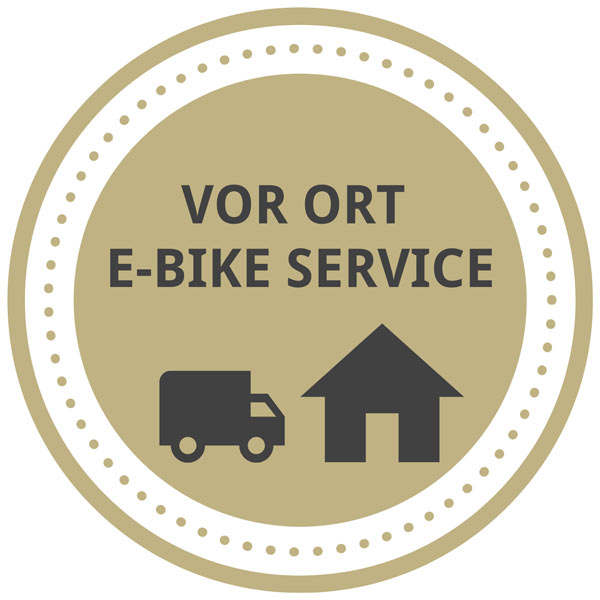 icon-vor-ort-service