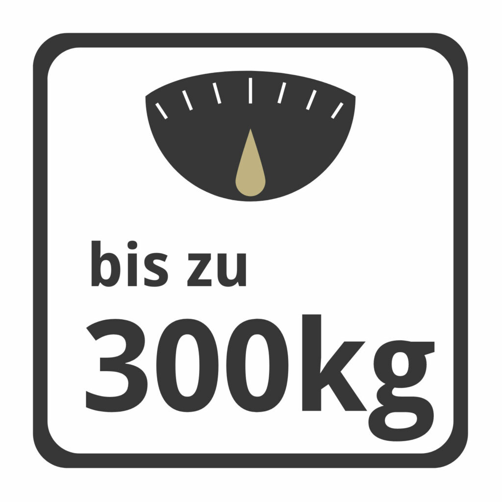 icon vorteil hohe belastbarkeit