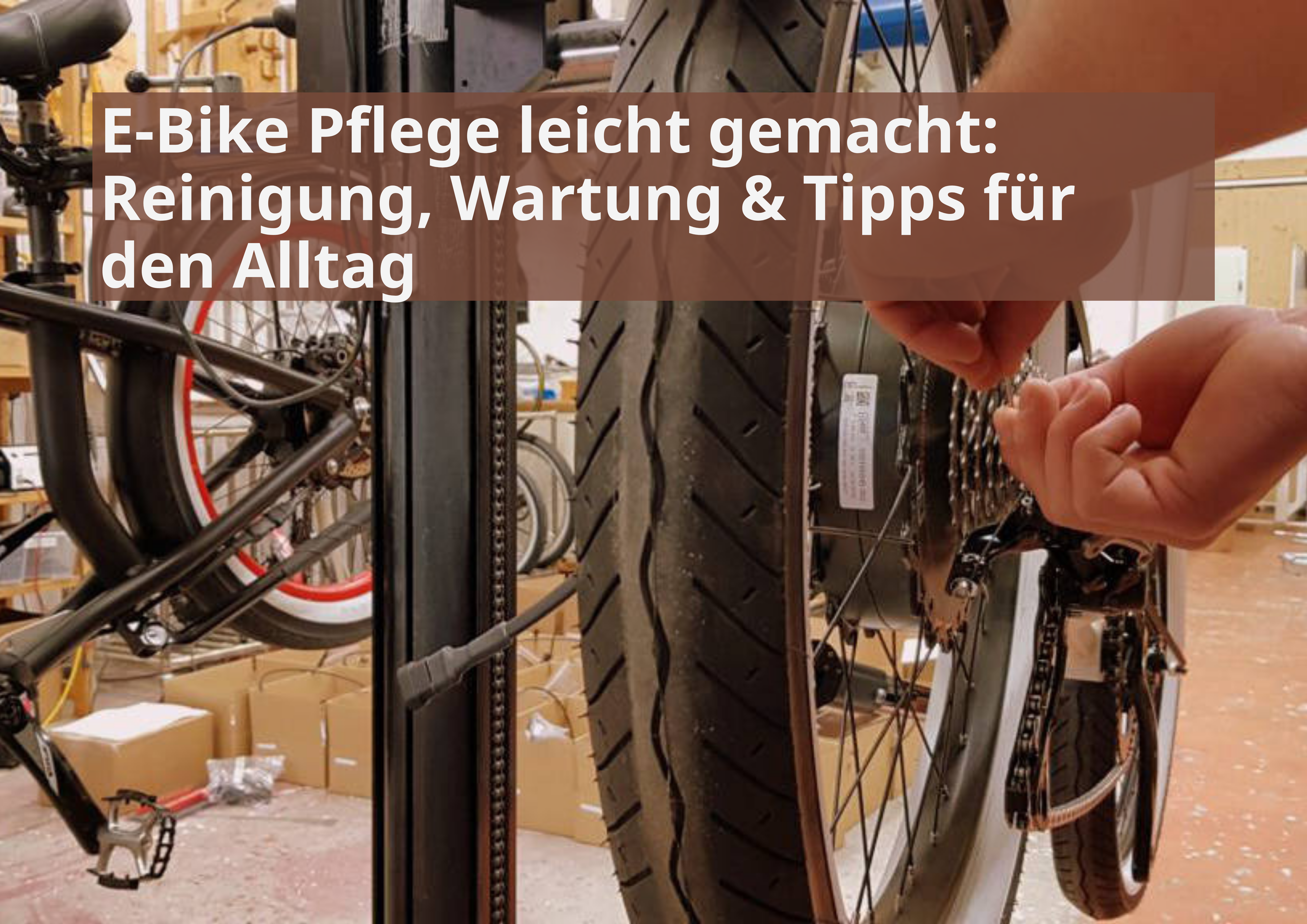 E-Bike Pflege