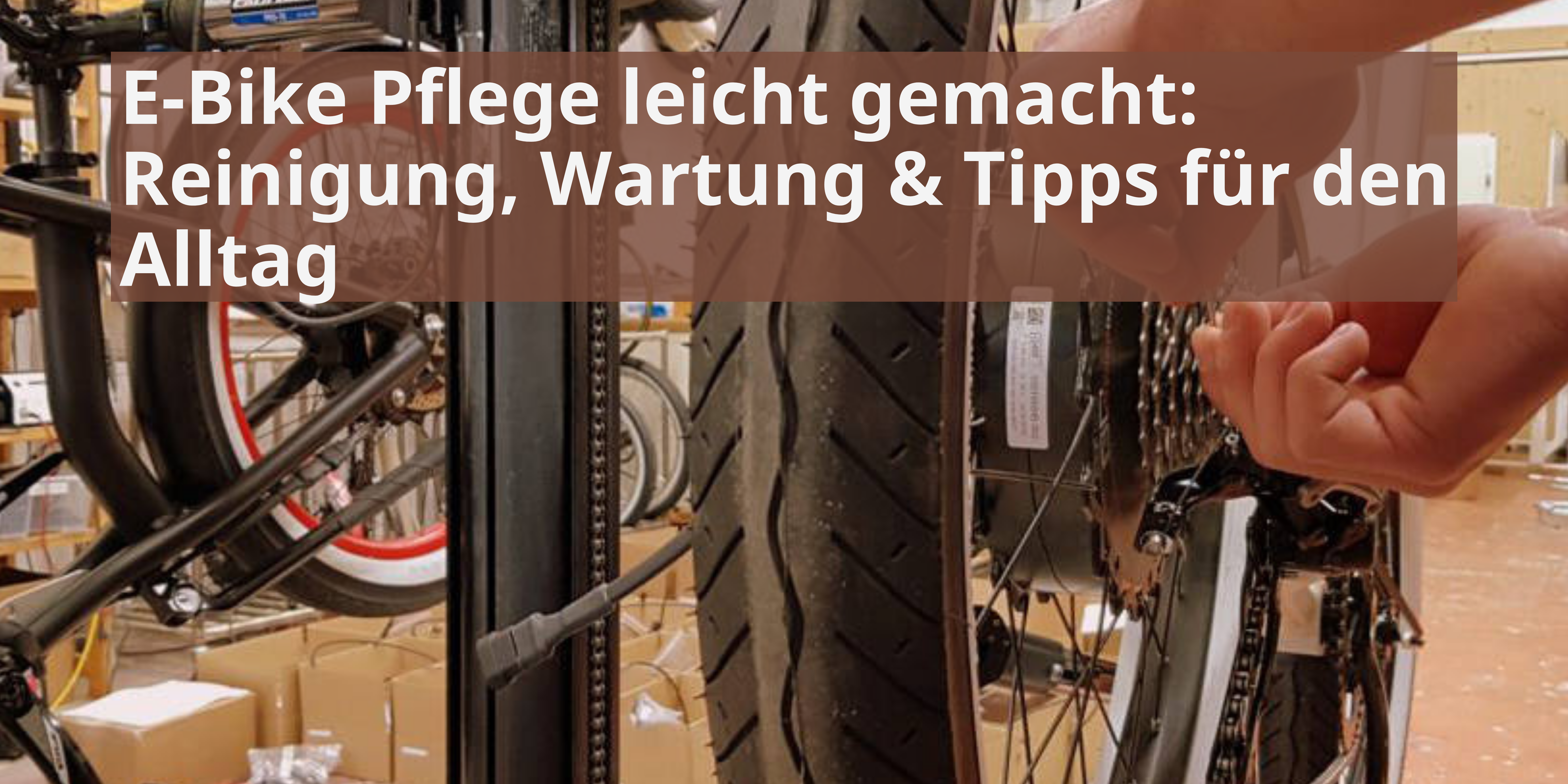 E-Bike Pflege